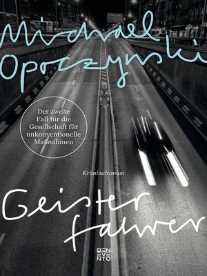 cover image of Geisterfahrer